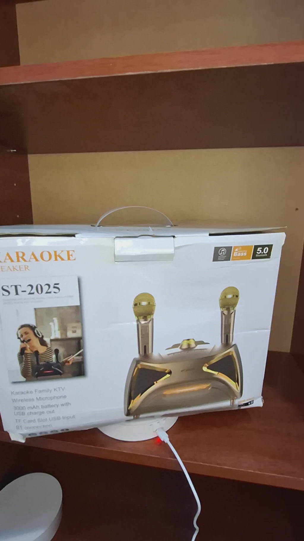 Sistema de Audio y Karaoke ST-2025 Kit Completo Dorado con Micrófonos